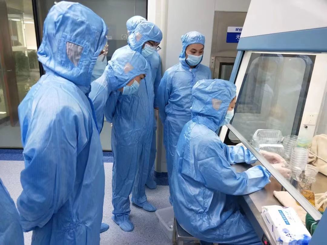 菌種鑒別2 菌種鑒別2